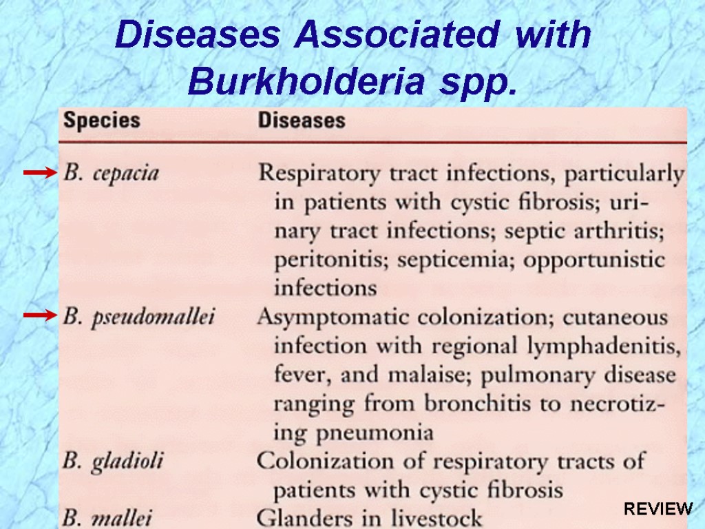 Diseases Associated with Burkholderia spp. REVIEW